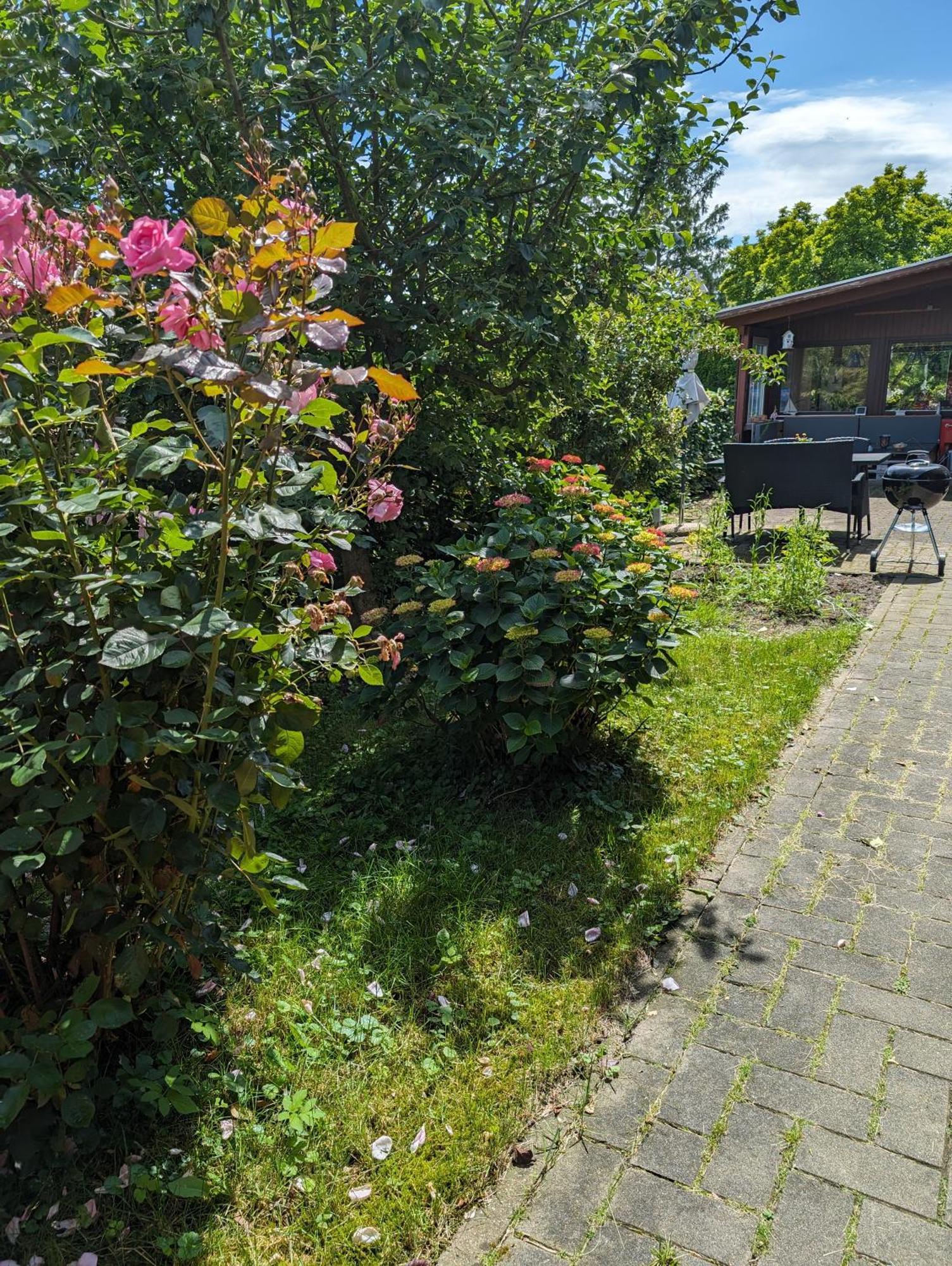 Ferienwohnung Bullersberg Balge Eksteriør bilde